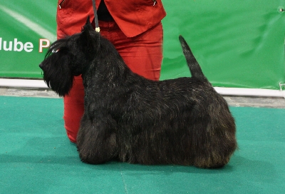 CH DE MAGIC ILLUSION MORIARTY 