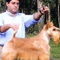 Magic Illusion