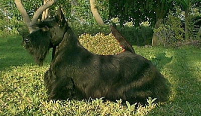 MICANDA PRIM´N´PROPER